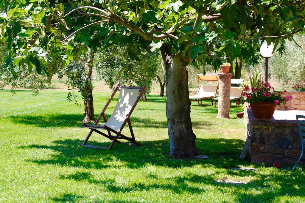 Agriturismo Il Vecchio Imposto Villa Massa Marittima Luaran gambar