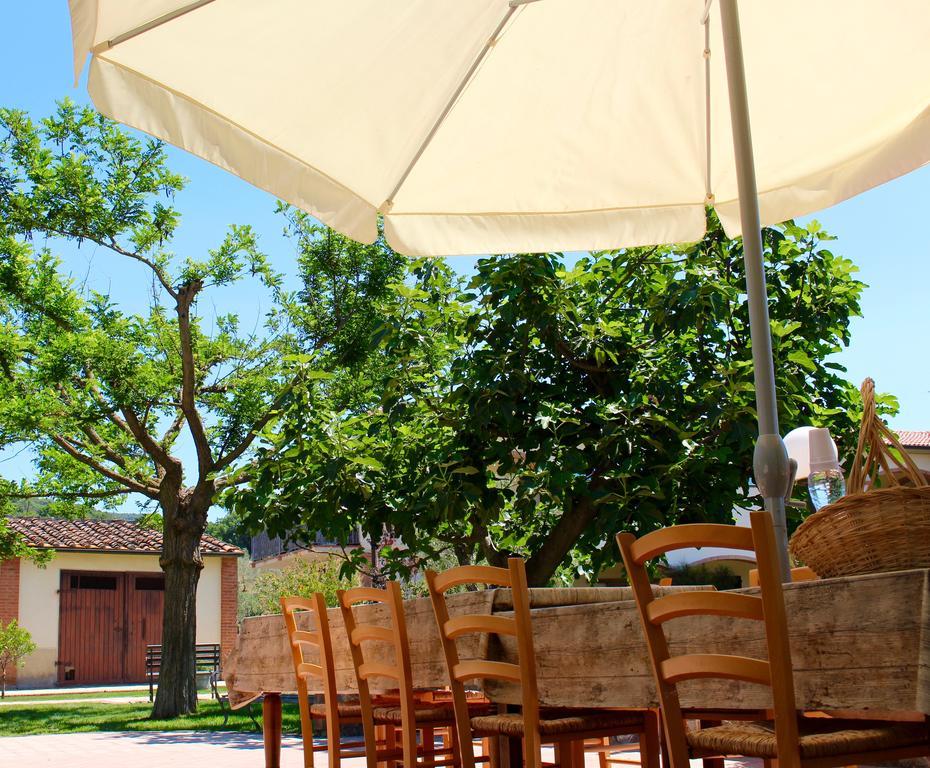 Agriturismo Il Vecchio Imposto Villa Massa Marittima Luaran gambar